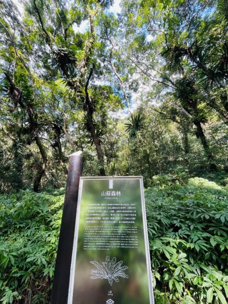 1141129巨人之手｜雪山坑登山步道2949150