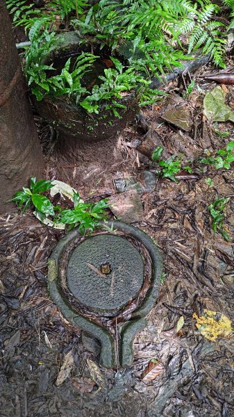 楊廷理古道2814594