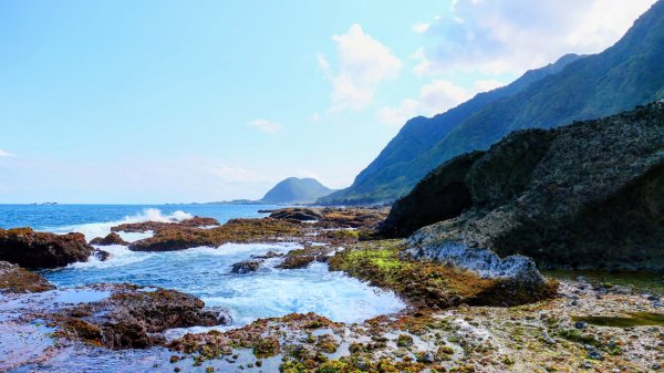 洄瀾東海岸3006747