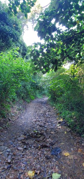 2023-10-09尾寮山登山步道2309520