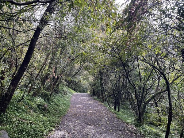 台北大縱走第一段2738405