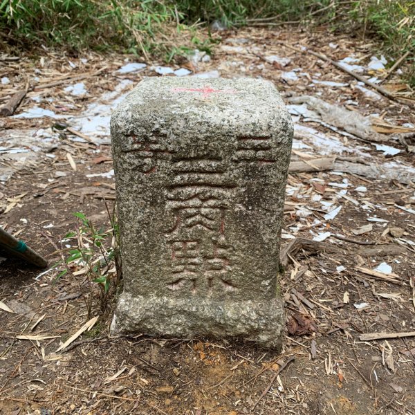 20250517義義兒玉山-東水山2791625