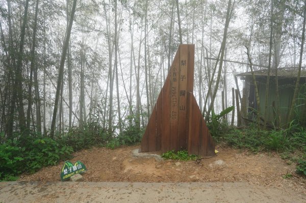 嘉義 梅山 太平山、梨子腳山、馬鞍山、二尖山、大尖山、碧湖山2748975