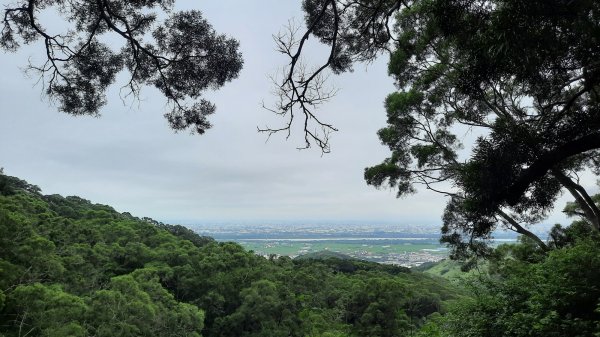 《台中》山不在高｜大肚萬里長城步道順O繞202205151711326