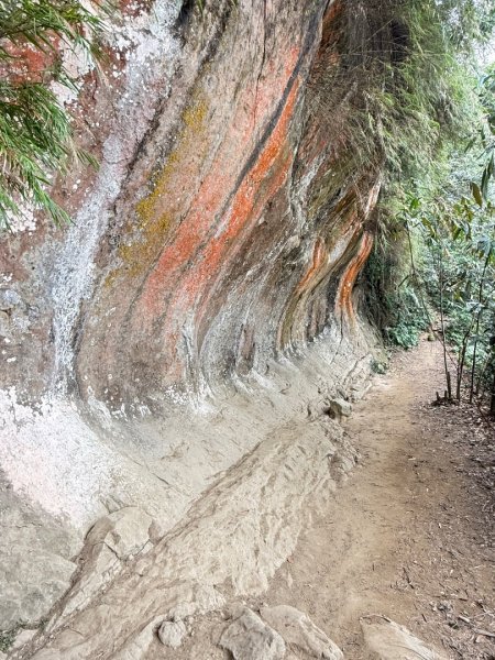微笑山⛰️線-大棟-二格山-五分山-天上山-鳶山💎12條步道完成💙2841391
