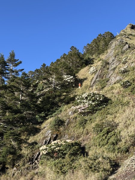 合歡尖山3050953
