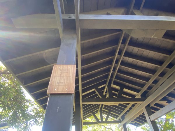 【四獸山 Short】虎豹象先行！獅山封閉中，等新步道開箱再相見2888791