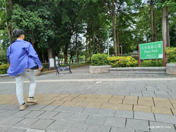2026臺北健走趣大安森林公園2026091511433119342