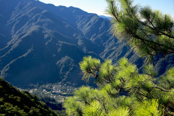 東卯山：東南稜晨曦405751