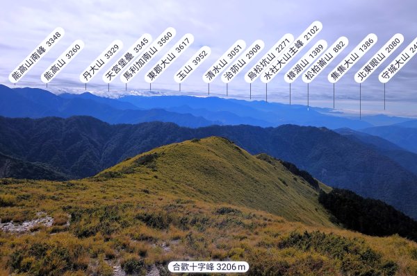 貼近山林來走個稍微不一樣風景的合歡山2989411