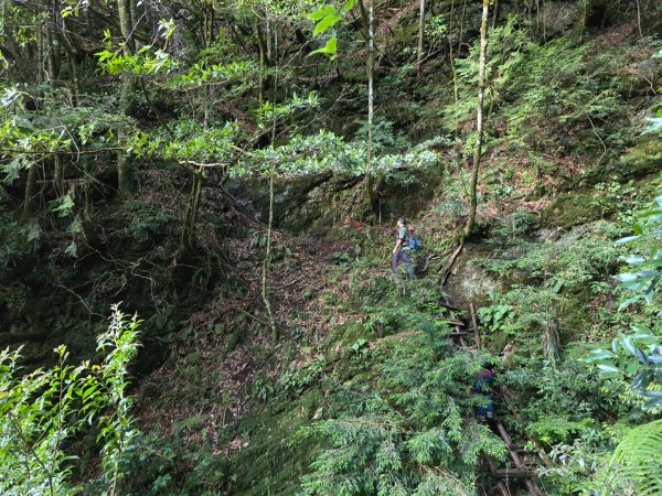 巒安堂上西巒大山單攻2581539