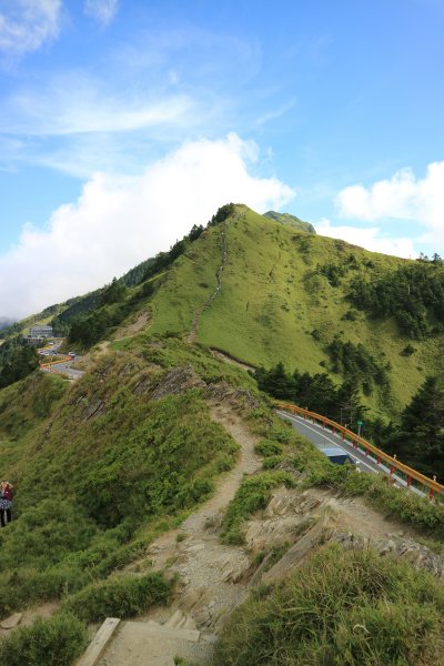 武嶺拍鳥順遊石門山及合歡尖山704439