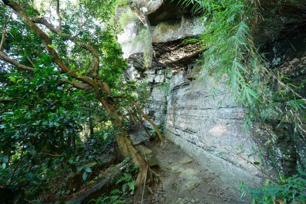 新北 三峽 金敏子山、詩朗山、塞口坑山、內金敏山2565611