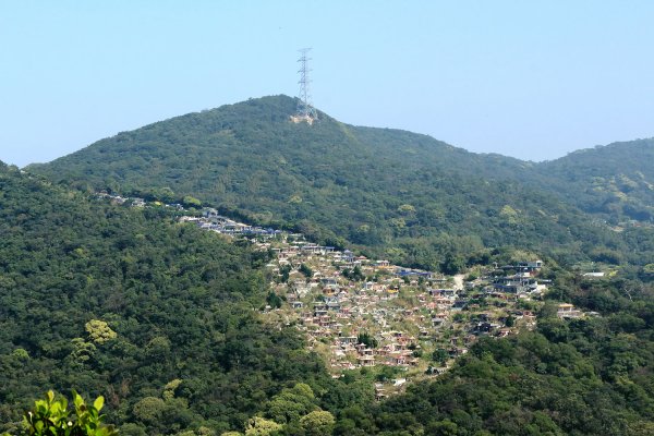 忠勇山。鯉魚山535903
