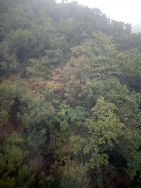 20171011 青島嶗山2001423