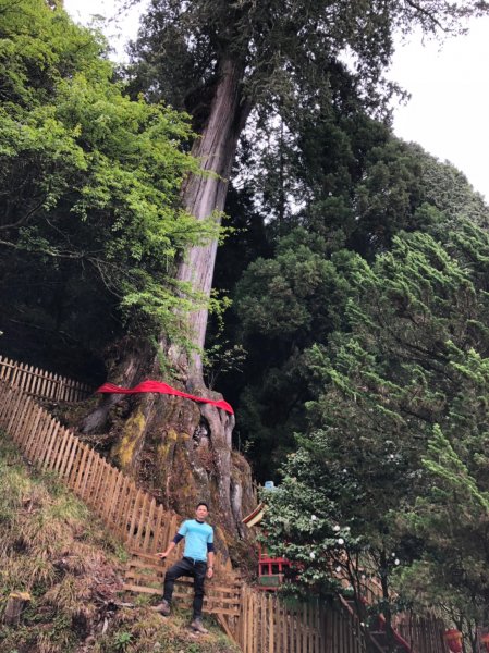 郡大山.望鄉山.臺中花博【給自己一份難忘569155