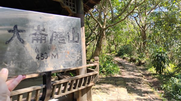 年前練練腳台北西湖近郊13連峰O型2999236