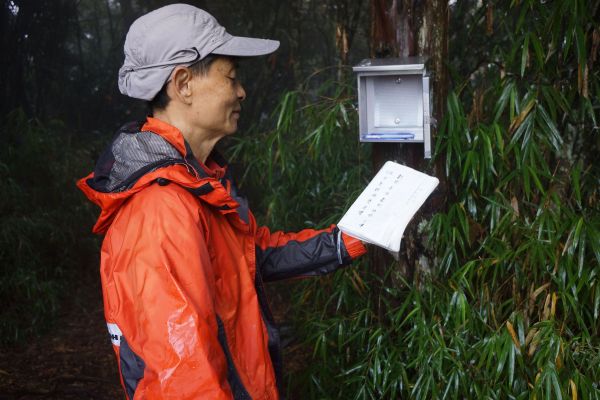 馬崙山露營趣282513