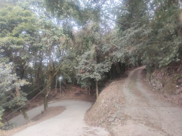 立鷹山森林步道2701089