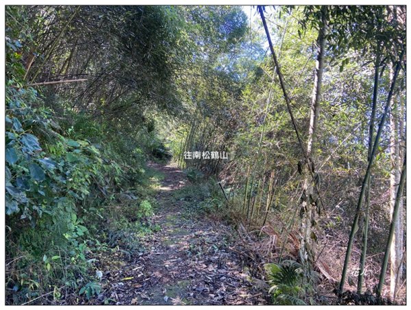 南松鶴山～八仙山 (台中 和平)2926067