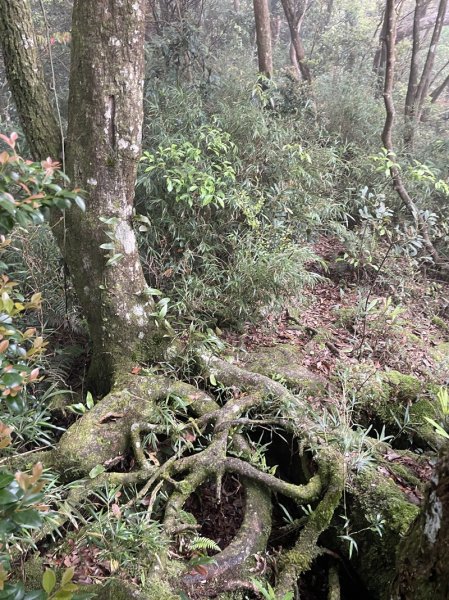 那結山2488249