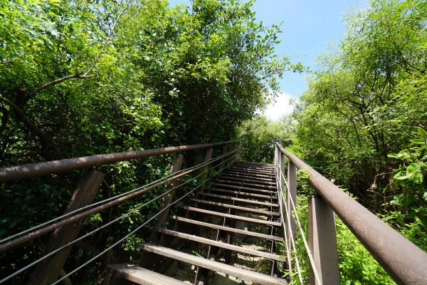 高雄：壽山、泰國谷、一簾幽夢步道2441819