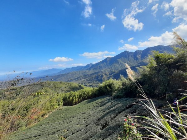 鹿谷小半天6峰連走1269687