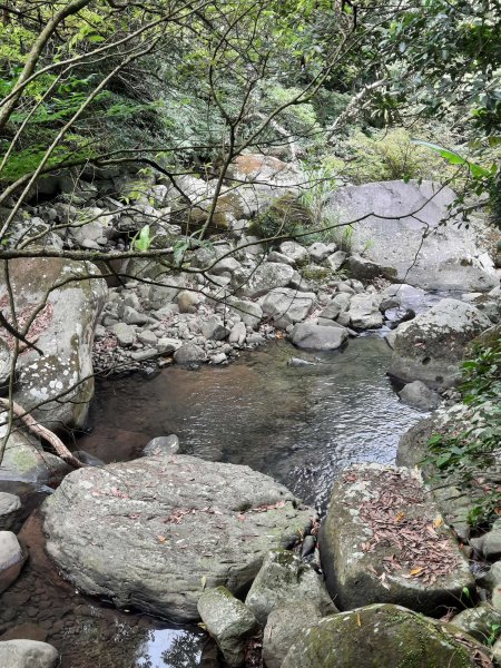 20230722 頂山石梯嶺縱走坪頂古圳，聖人瀑布2227222