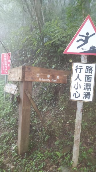 鳳凰南嶺線步道(溪頭至杉林溪縱走)2150749