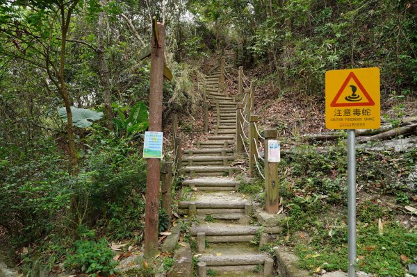 臺中 潭子 林牛山、聚興山、大胡山2474465