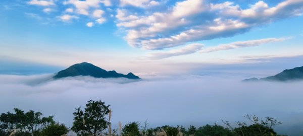 #樹梅坪 #金瓜石 12/102958901