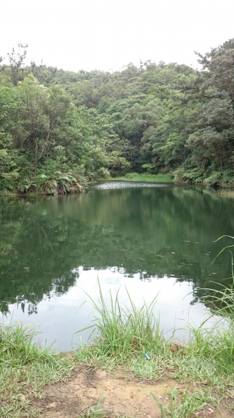 金明山+柯子林山（如意湖）48798