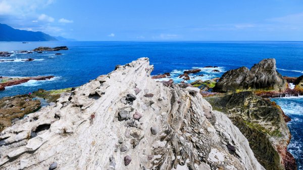 洄瀾東海岸3006675