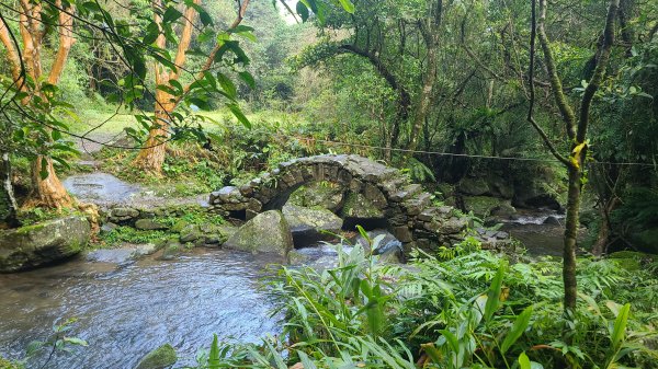2026-0204 中坑古道_下坑古道O型3005562