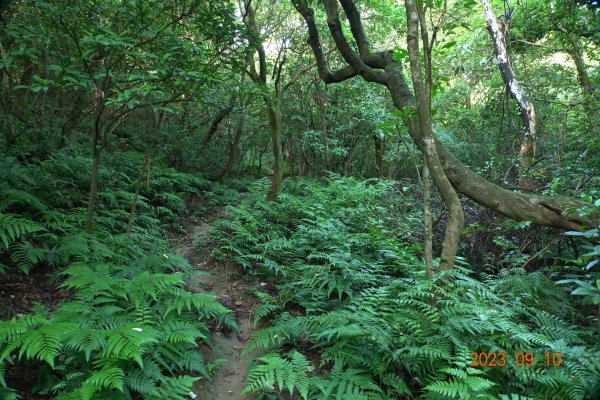 基隆 七堵 三界山、開眼尖山、七分寮山2282722