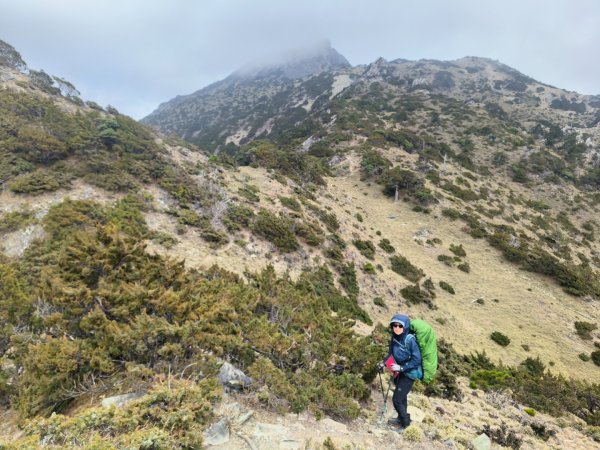 20240320 馬博8天縱走~第五天，馬里亞文路山，馬利加南山2471214