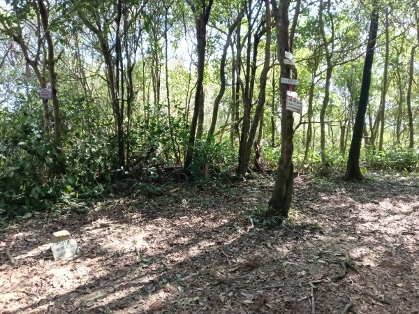 基隆市/萬里區界寮縱走之三界山+三界山西峰+開眼尖山+七分寮山+瑪七產道山泉水接水亭2979582