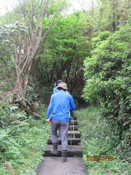 紅淡山步道907476