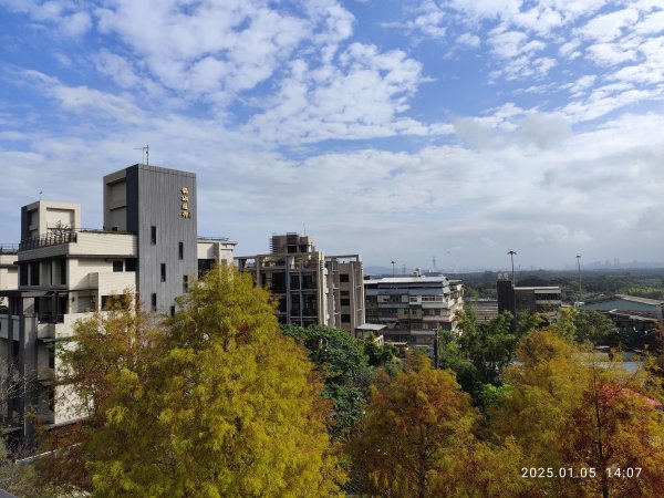行天宮北投分宮、師大公園、臺北市立美術館2683309
