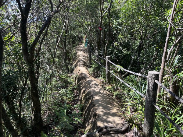 [微笑山線_第九段] 2025_0914 二格山系_皇帝殿西峰2889674