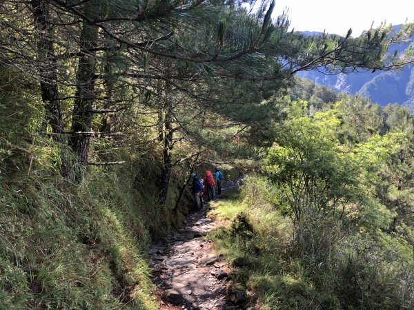 玉山前峰 - 山是家的延伸628471