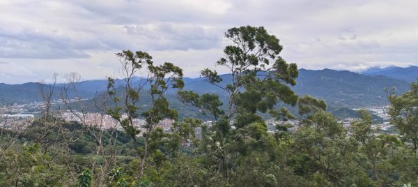 鳶山（福德坑山）2970856
