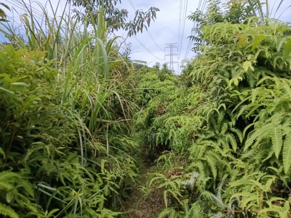 汐止區夢湖保線路+單車夢湖路O型2894122