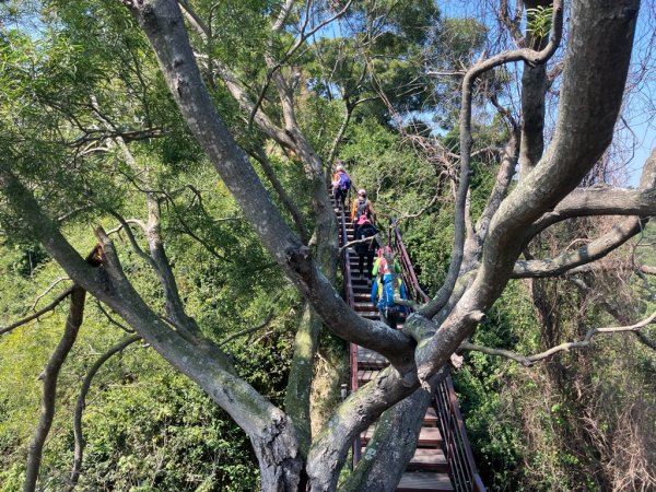 【田中】田中森林步道連走麒麟山2722583