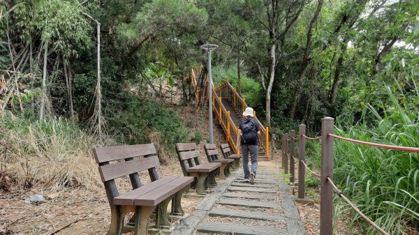 《台中》滿月望月｜霧峰望月峰獻堂登山步道環中心瓏步道及萊園202210101872967