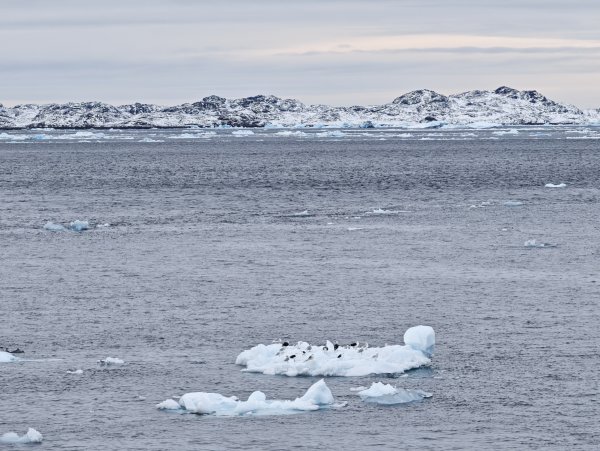 [紐約馬之行-27] 2025_1105 努克濱海木棧道(Nuuk Boardwalk)-下2947616