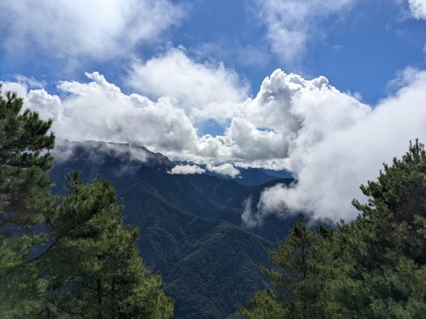 鹿林山麟趾山1904736