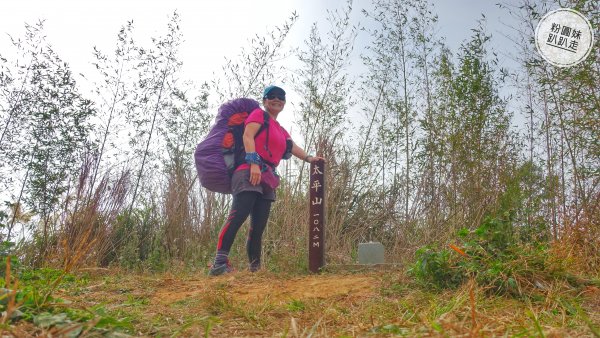 阿里山山脈越嶺步道大串走D2543685