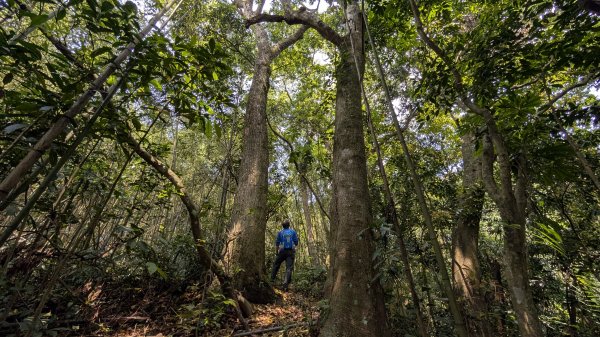 115.04.12金平山西峰-蝙蝠洞之旅3034711