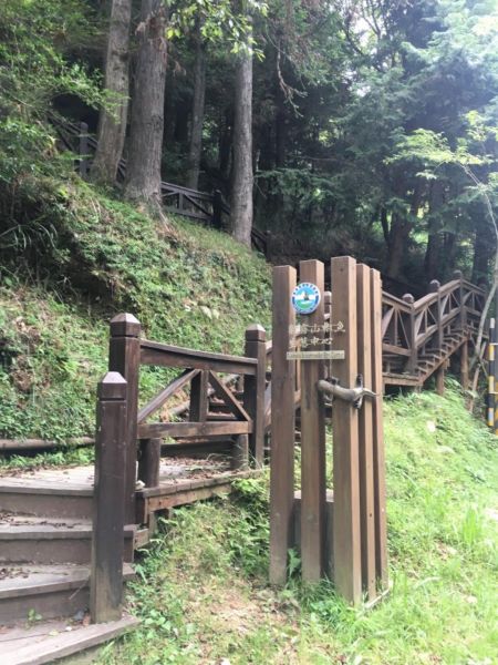 避暑- 觀霧榛山步道之旅385095